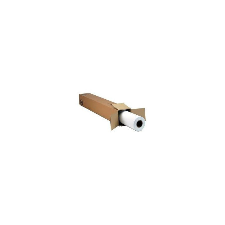 Rouleau polypropylène mat jet d'encre HP 914 mm x 22,90 m 180 g/m² blanc