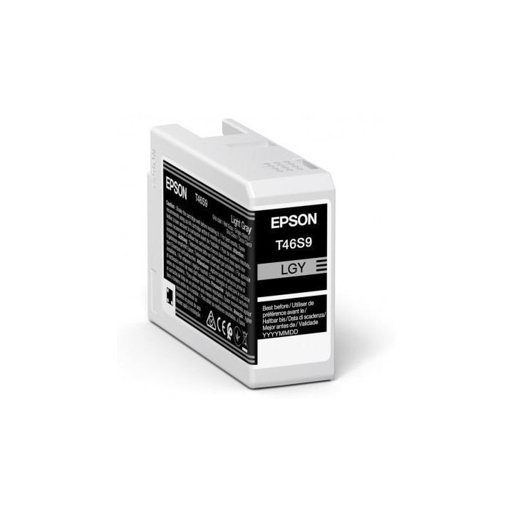 Cartouche d'encre EPSON Gris clair T46S9 25 ml
