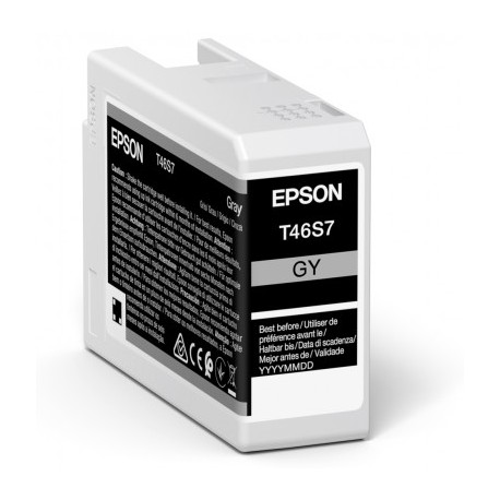 Cartouche d'encre EPSON Gris T46S7 25 ml