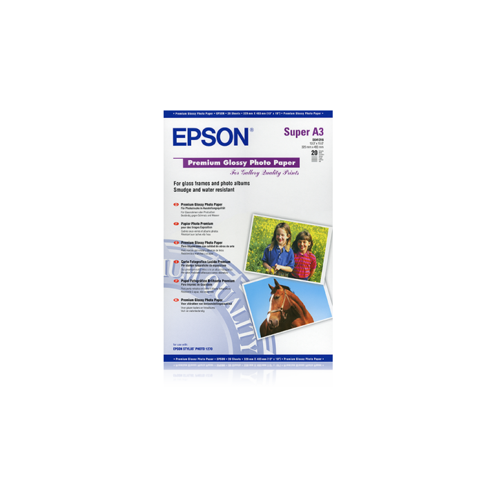 Papier Photo Epson Glacé Brillant 255 g/m² A3+ C13S041316