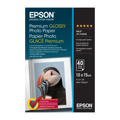 Papier Photo Epson Brillant 255 g/m² (10*15cm) C13S042153