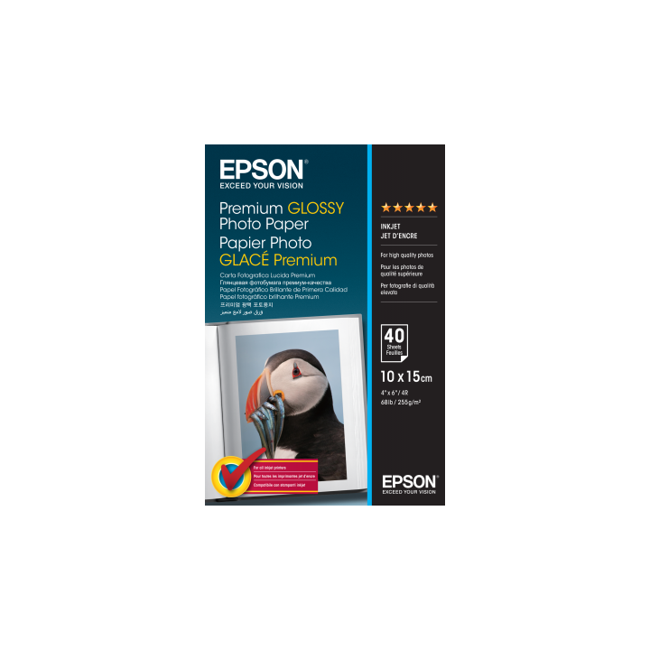 Papier Photo Epson Brillant 255 g/m² (10*15cm) C13S042153
