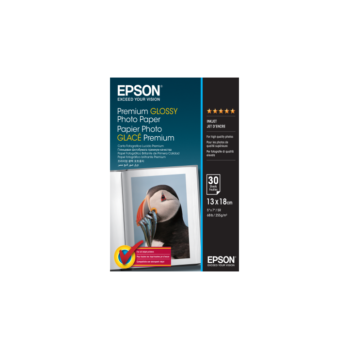 Papier Photo Epson Brillant 255 g/m² (13*18cm) C13S042154