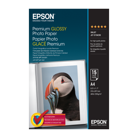 Papier Photo Epson Brillant 255 g/m² A4 C13S042155