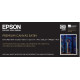 Papier EPSON Toile Premium Canvas Satin 350g/m² A2 C13S041846