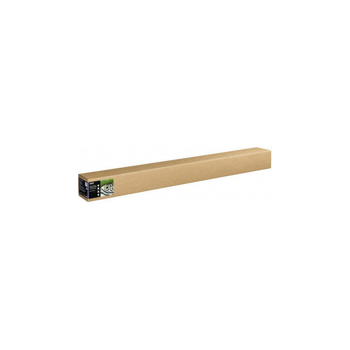 Papier EPSON Fine Art Cotton Textured Natural 300 g/m² A0+ 64" x 15m