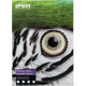 Papier EPSON Fine Art Cotton Textured Natural 300 g/m² A3+ - 25 feuilles