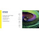 Papier Photo Production EPSON Semi Glacé 200 g/m² A1 24" x 30m
